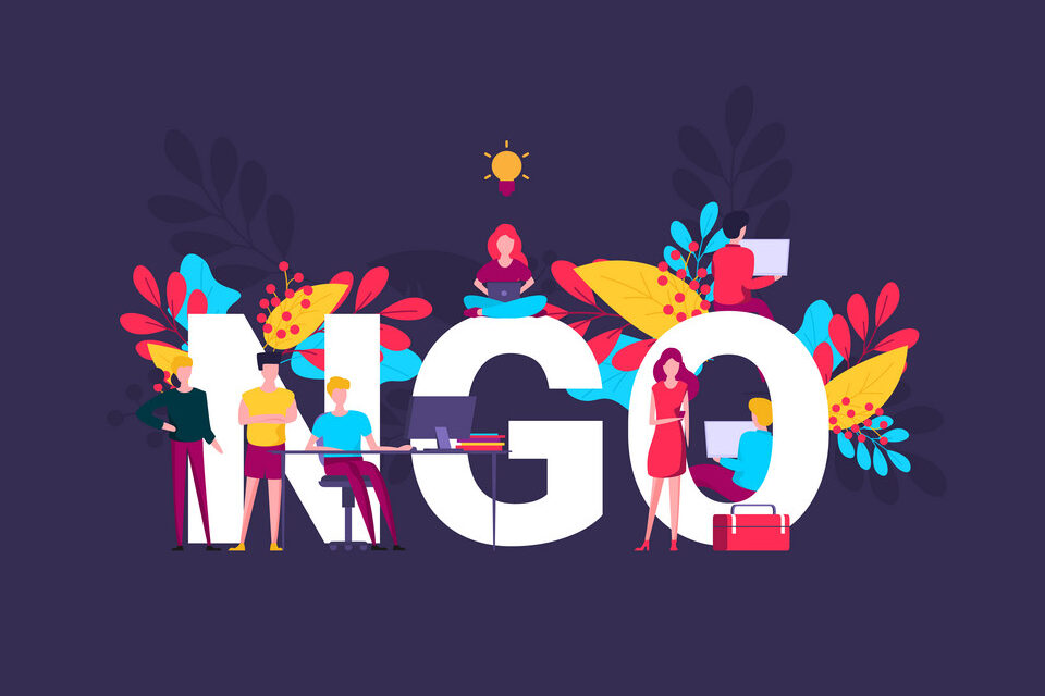 NGO Registration
